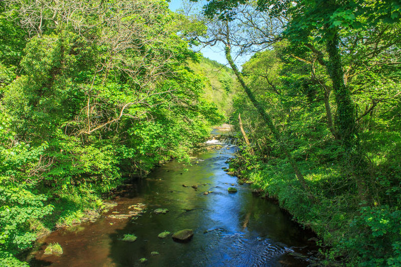River Derwent River Derwent